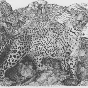 Persian Leopard