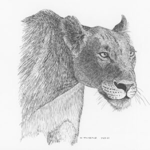 Persian Lioness