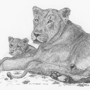 Persian Lioness and Cubs