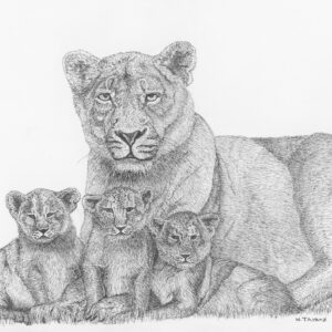 Persian Lioness and Cubs