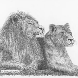 Persian Lion and Lioness