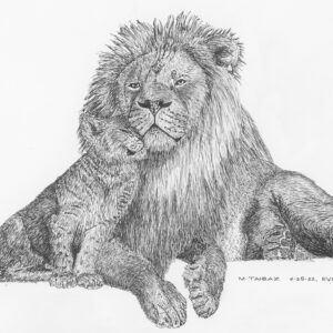 Persian Lion and Cub