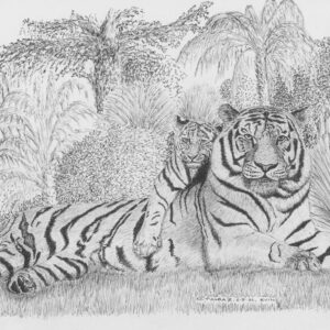 Caspian Tiger