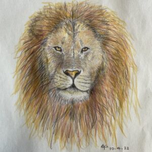 Persian Lion