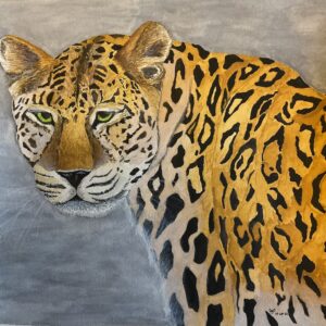 Persian Leopard