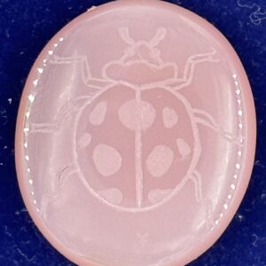 Beetle Engraving - Pink