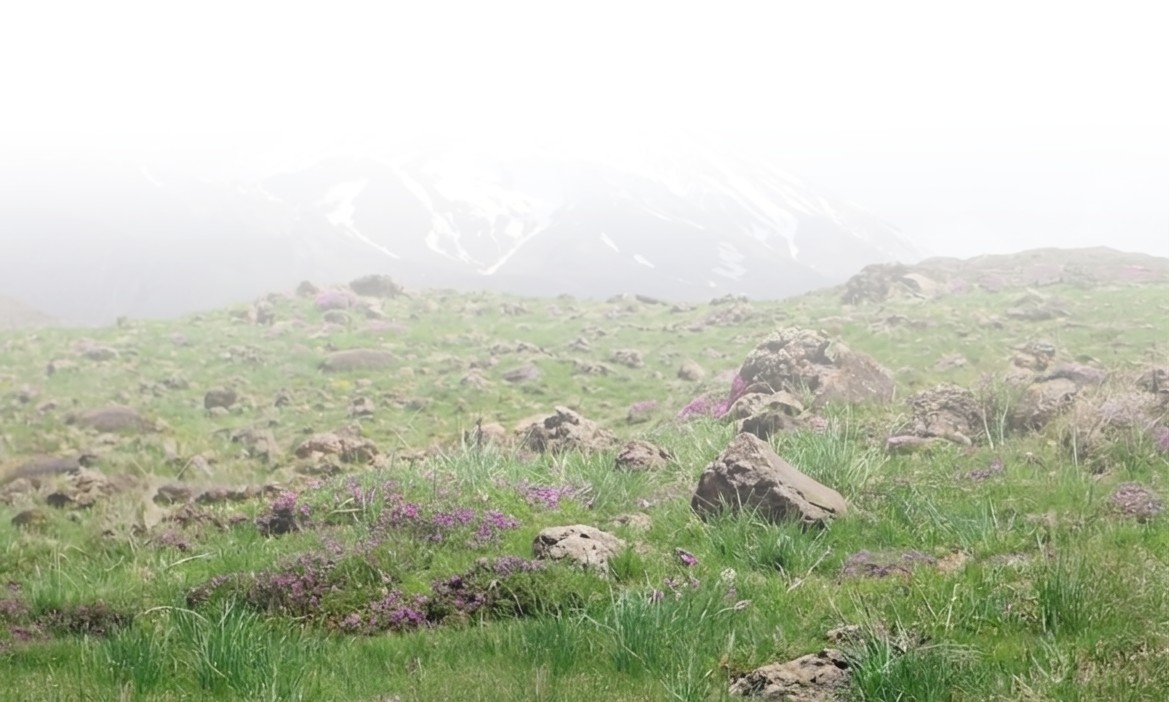 green background