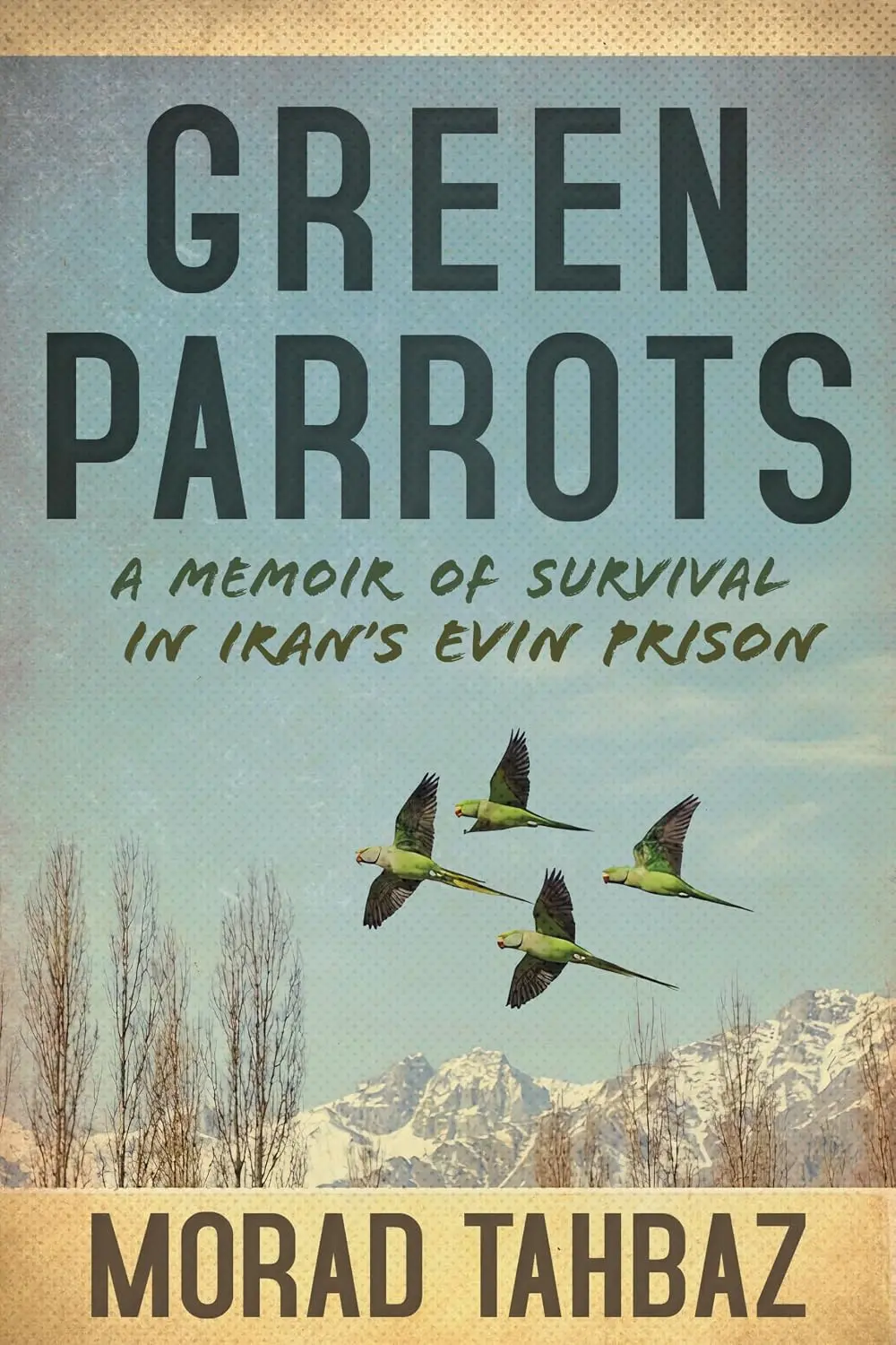 Green Parrots Book Cover