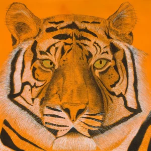 Caspian Tiger