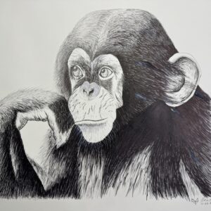 Remembering Jane
